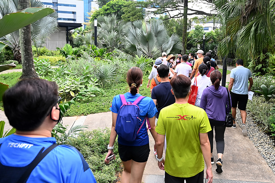 Story of Trees and Pasir Panjang Nursery Walk - Singapore Geographic