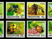 Singapore Insect Stamp 1985